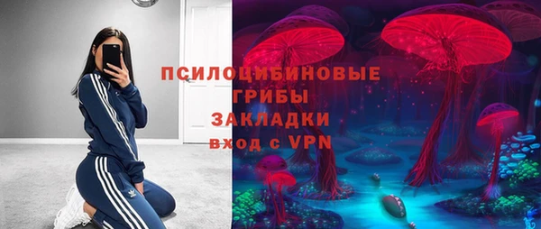 спиды Сафоново