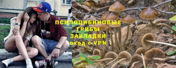 jwh Касимов
