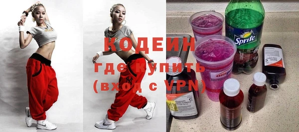 гашик Карпинск