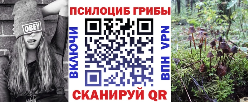 Галлюциногенные грибы Psilocybe  Красный Сулин 